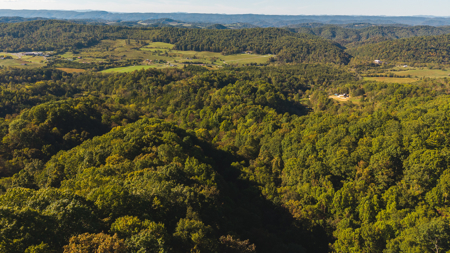 East Tennessee Hunting Property for Sale in Hawkins County - image 11