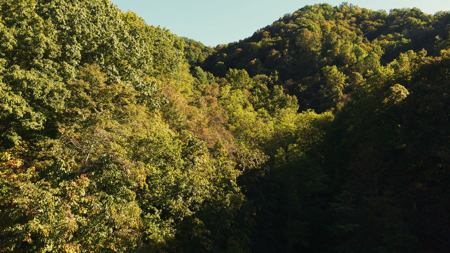 East Tennessee Hunting Property for Sale in Hawkins County - image 18