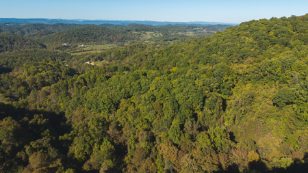 East Tennessee Hunting Property for Sale in Hawkins County - image 9