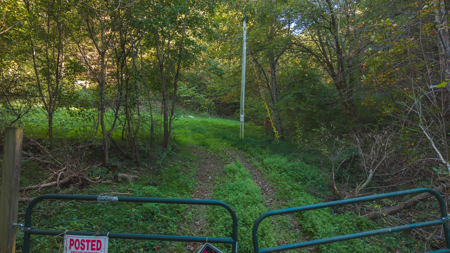 East Tennessee Hunting Property for Sale in Hawkins County - image 3