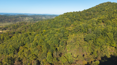 East Tennessee Hunting Property for Sale in Hawkins County - image 10
