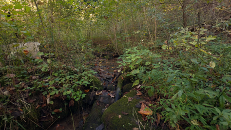 East Tennessee Hunting Property for Sale in Hawkins County - image 22