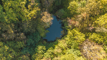 East Tennessee Hunting Property for Sale in Hawkins County - image 2