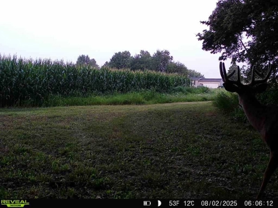 28± acre Sauk County Gem of a Property - image 29