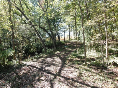 28± acre Sauk County Gem of a Property - image 12