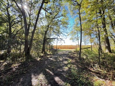 28± acre Sauk County Gem of a Property - image 22