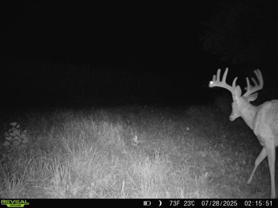 28± acre Sauk County Gem of a Property - image 27