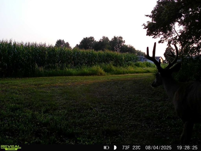 28± acre Sauk County Gem of a Property - image 45