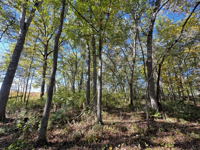 28± acre Sauk County Gem of a Property - image 21