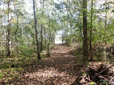 28± acre Sauk County Gem of a Property - image 16