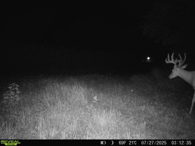 28± acre Sauk County Gem of a Property - image 39