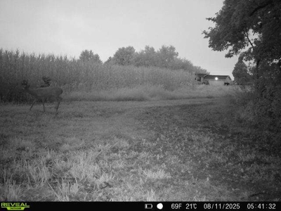 28± acre Sauk County Gem of a Property - image 43