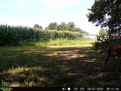 28± acre Sauk County Gem of a Property - image 28