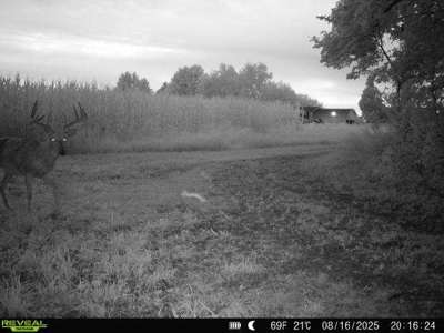28± acre Sauk County Gem of a Property - image 31