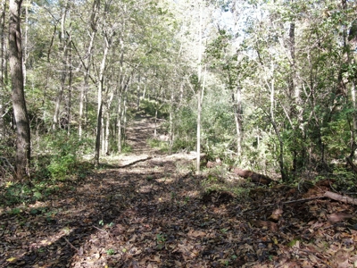 28± acre Sauk County Gem of a Property - image 15