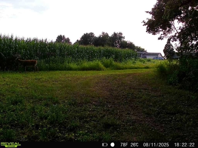 28± acre Sauk County Gem of a Property - image 41