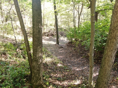 28± acre Sauk County Gem of a Property - image 13