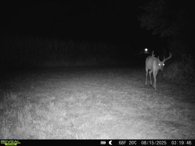 28± acre Sauk County Gem of a Property - image 40