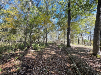 28± acre Sauk County Gem of a Property - image 24