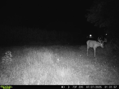 28± acre Sauk County Gem of a Property - image 42