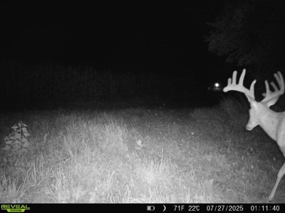 28± acre Sauk County Gem of a Property - image 38