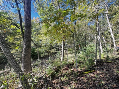 28± acre Sauk County Gem of a Property - image 35