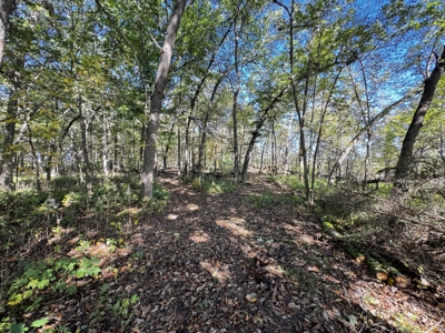 28± acre Sauk County Gem of a Property - image 26