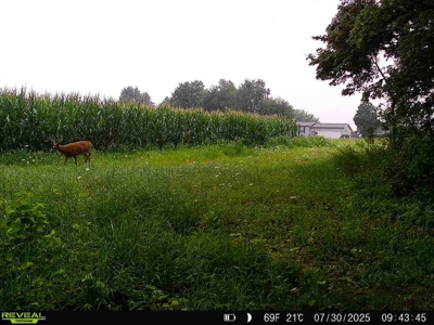 28± acre Sauk County Gem of a Property - image 30