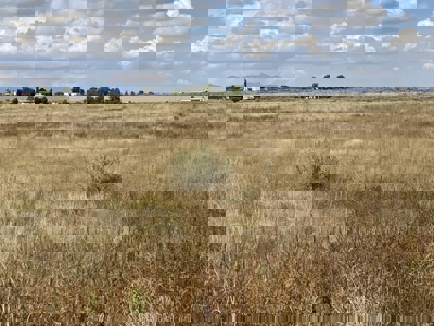 2.8 Acre Land for Sale Near Moriarty NM | Power Onsite and Mounta - image 1