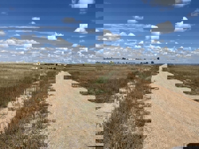 2.8 Acre Land for Sale Near Moriarty NM | Power Onsite and Mounta - image 4