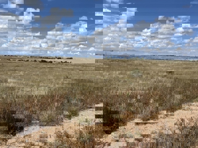 2.8 Acre Land for Sale Near Moriarty NM | Power Onsite and Mounta - image 2