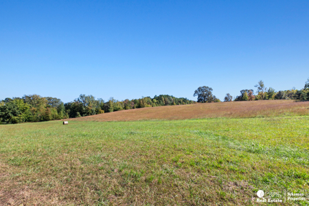 Country home & 64 acres, shop, barn, custom home & guest house - image 43