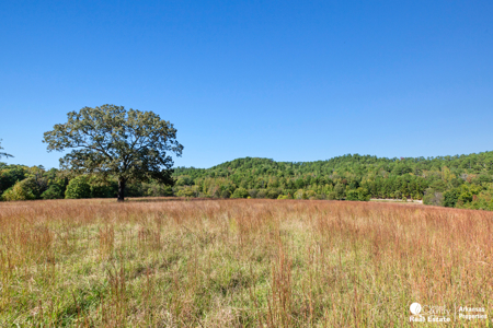 Country home & 64 acres, shop, barn, custom home & guest house - image 39
