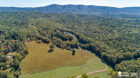 Country home & 64 acres, shop, barn, custom home & guest house - image 1