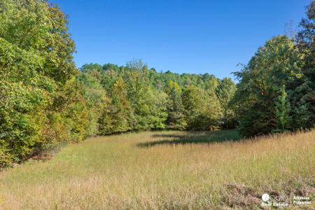 Country home & 64 acres, shop, barn, custom home & guest house - image 35
