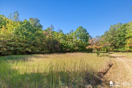 Country home & 64 acres, shop, barn, custom home & guest house - image 38
