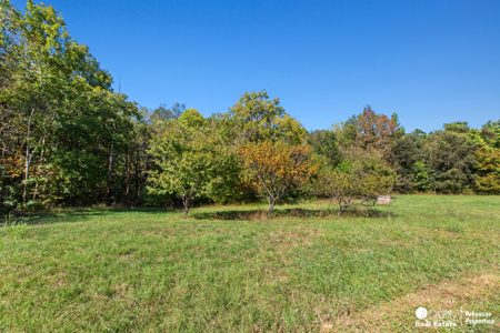 Country home & 64 acres, shop, barn, custom home & guest house - image 41