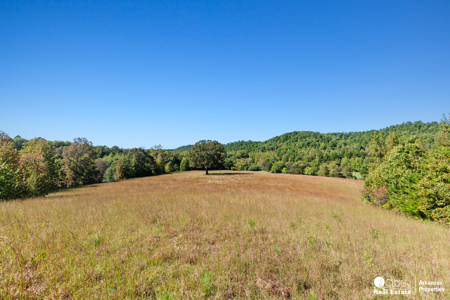 Country home & 64 acres, shop, barn, custom home & guest house - image 40