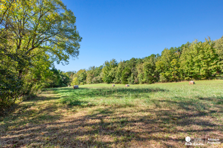 Country home & 64 acres, shop, barn, custom home & guest house - image 44