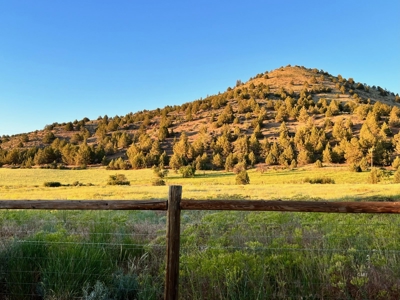 Ranch Life on 78 Acres in Modoc County — Home, Barn & Views - image 22