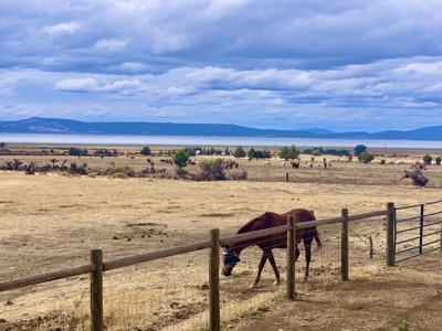 Ranch Life on 78 Acres in Modoc County — Home, Barn & Views - image 21