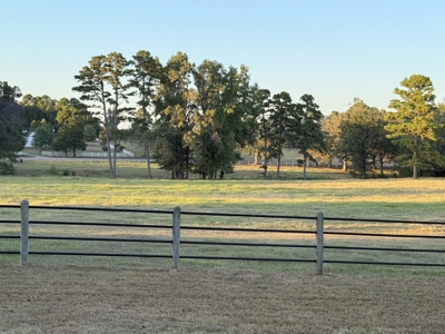 Winnsboro Texas Franklin County Country Home 19.77 Acres + Barn - image 4