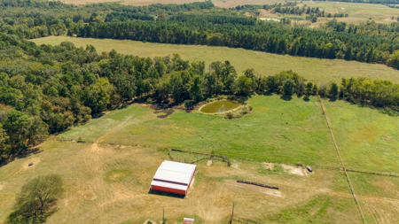 Winnsboro Texas Franklin County Country Home 19.77 Acres + Barn - image 42