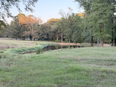 Winnsboro Texas Franklin County Country Home 19.77 Acres + Barn - image 3