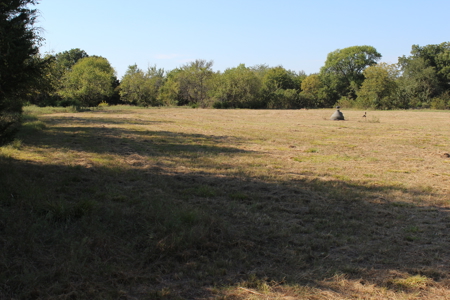 43 Acres for Sale on Pritchard Road, Just Off Hwy 22 - image 13