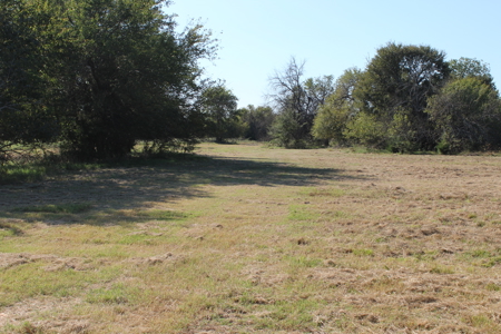 43 Acres for Sale on Pritchard Road, Just Off Hwy 22 - image 2