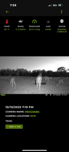 43 Acres for Sale on Pritchard Road, Just Off Hwy 22 - image 22