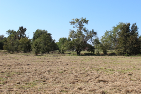 43 Acres for Sale on Pritchard Road, Just Off Hwy 22 - image 3