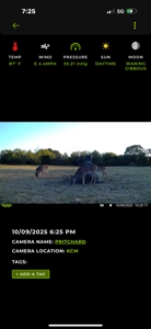 43 Acres for Sale on Pritchard Road, Just Off Hwy 22 - image 23