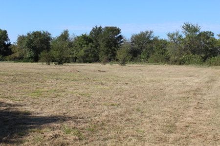 43 Acres for Sale on Pritchard Road, Just Off Hwy 22 - image 14